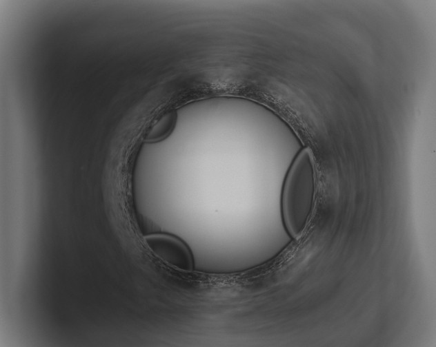 X0000102401249200808011539