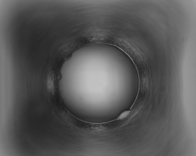 X0000102401250200808011539