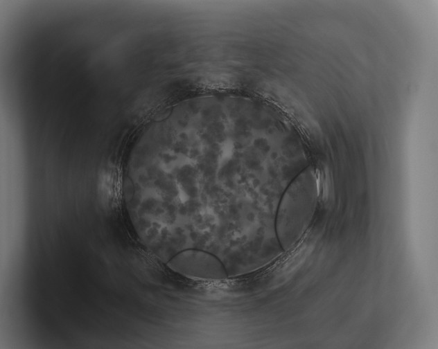 X0000102401251200808011539