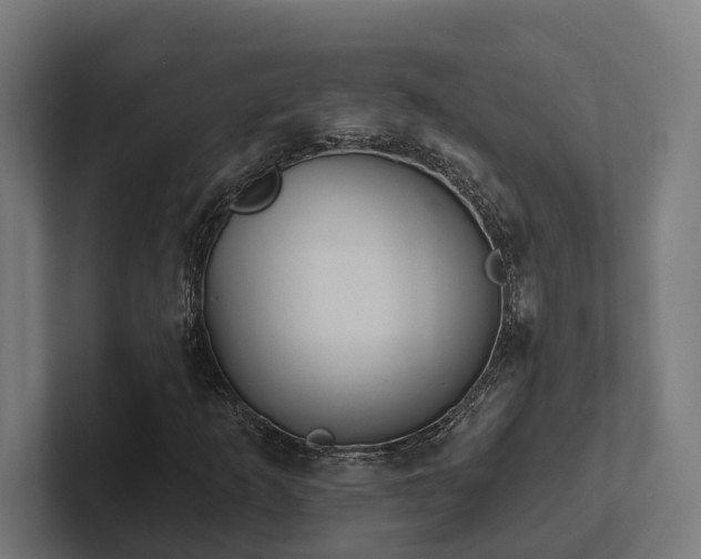 X0000102401253200808011539
