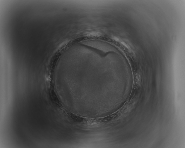 X0000102401254200808011539