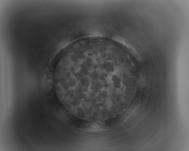 X0000102401255200808011539