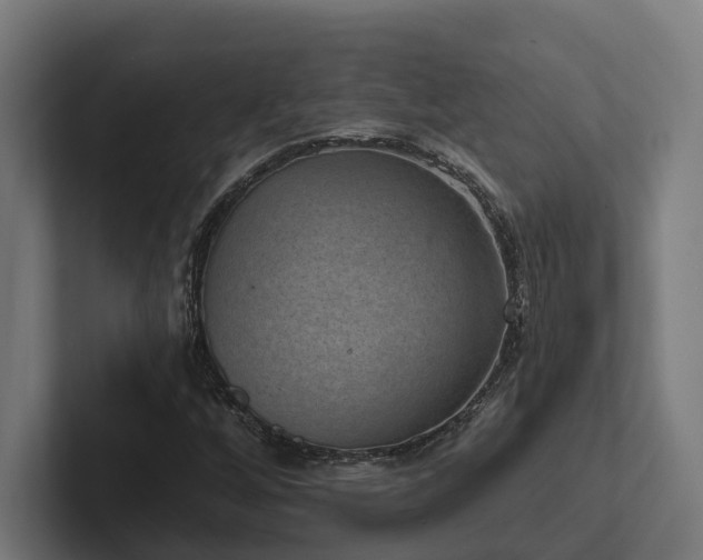 X0000102401256200808011539