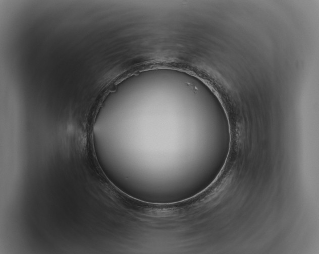 X0000102401257200808011539