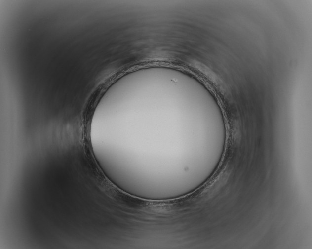 X0000102401258200808011539