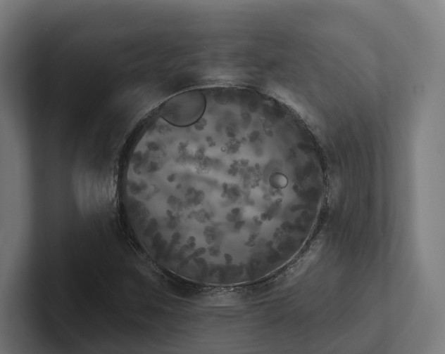 X0000102401259200808011539