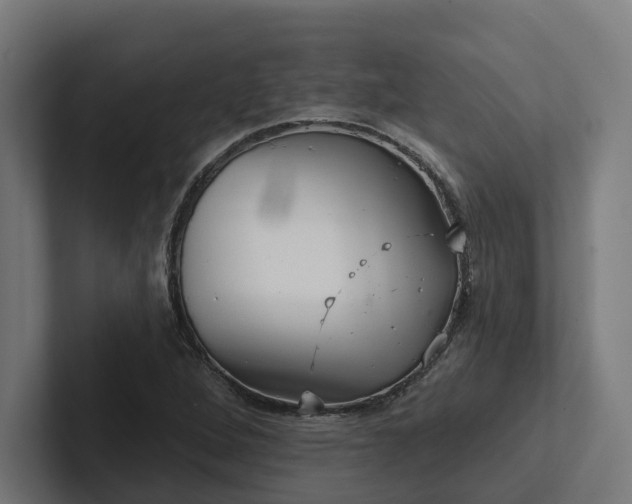 X0000102401264200808011539