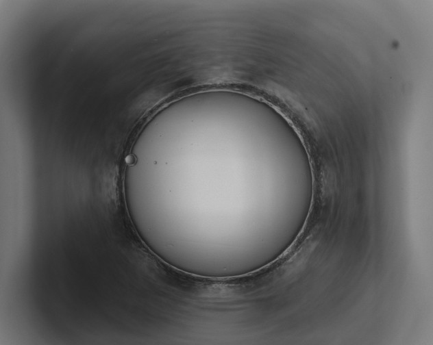 X0000102401265200808011539