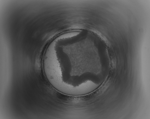 X0000102401266200808011539