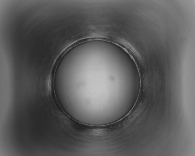 X0000102401268200808011539