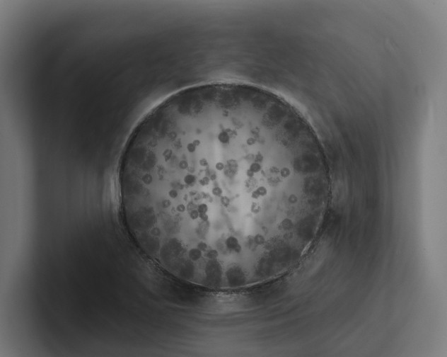 X0000102401271200808011539