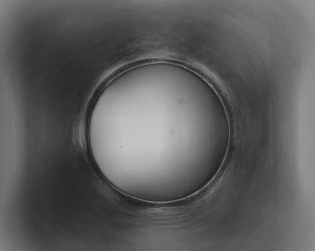 X0000102401272200808011539
