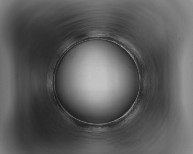 X0000102401273200808011539