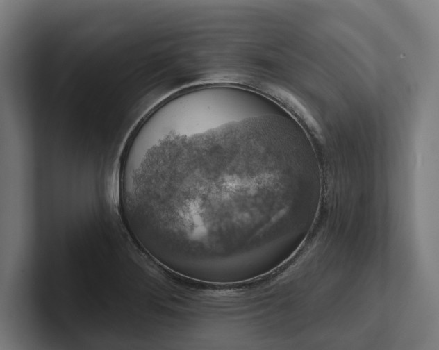 X0000102401276200808011539