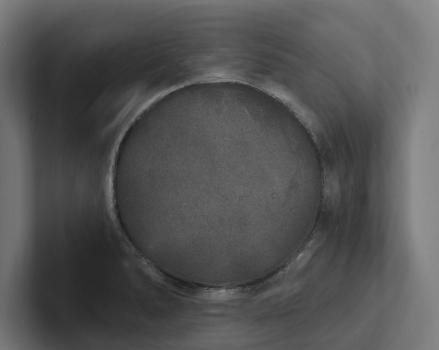 X0000102401278200808011539