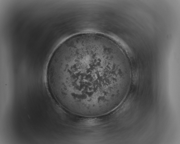 X0000102401279200808011539