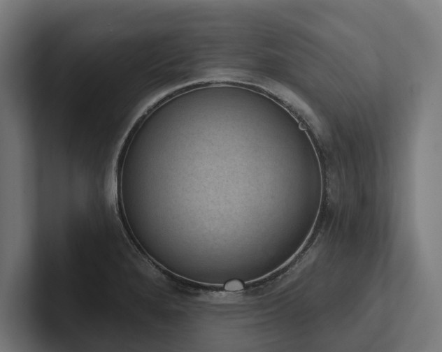 X0000102401280200808011539
