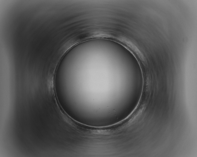 X0000102401281200808011539