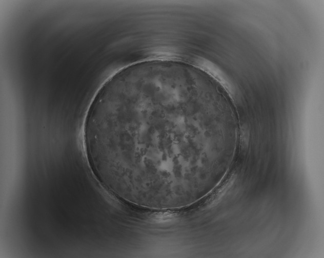 X0000102401283200808011539