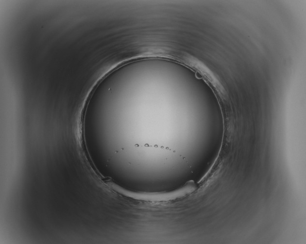 X0000102401284200808011539