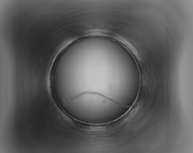 X0000102401285200808011539
