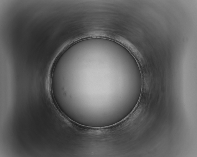 X0000102401286200808011539