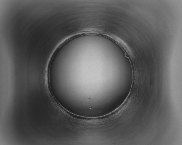 X0000102401288200808011539