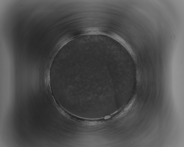 X0000102401289200808011539