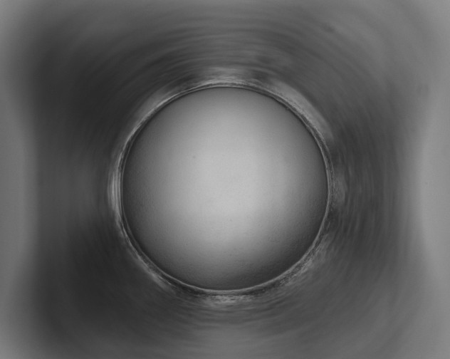 X0000102401290200808011539