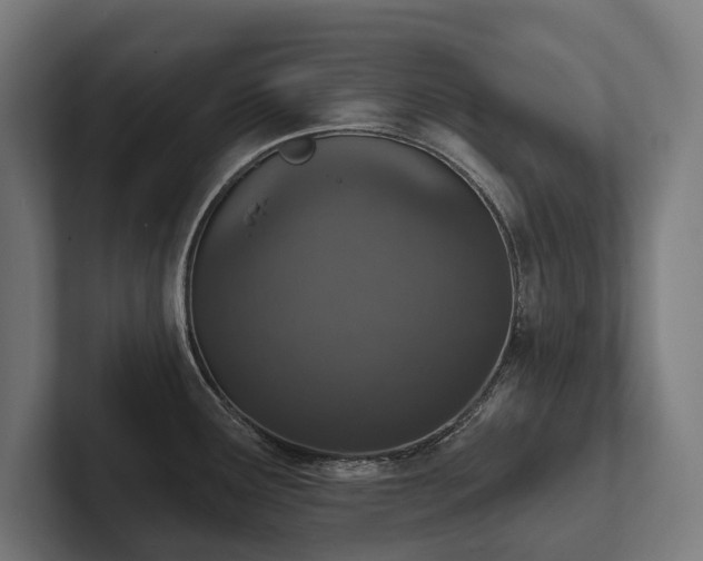 X0000102401291200808011539
