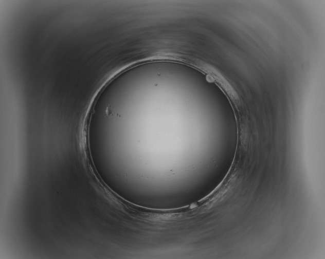 X0000102401292200808011539