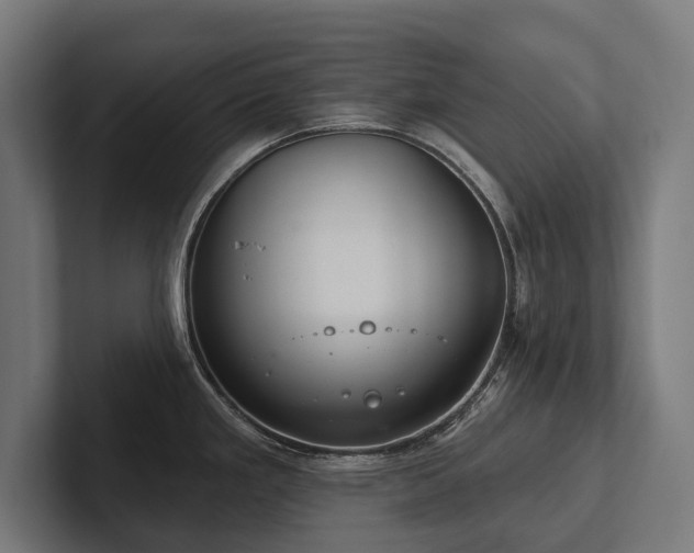 X0000102401293200808011539