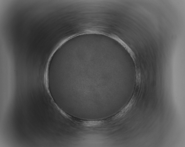 X0000102401294200808011539