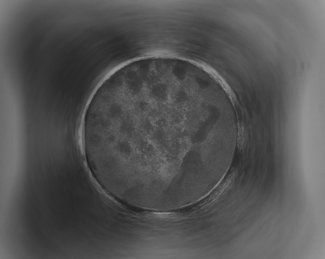 X0000102401295200808011539