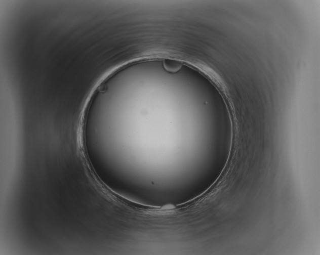 X0000102401296200808011539