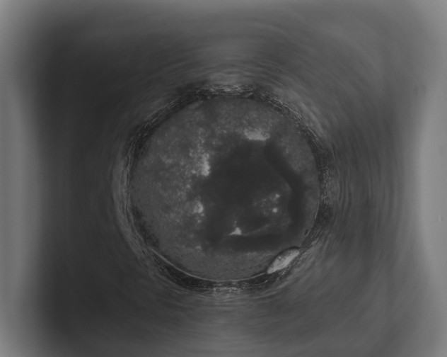 X0000102401297200808011538