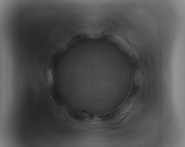 X0000102401298200808011538