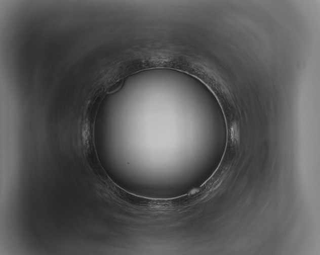 X0000102401299200808011538