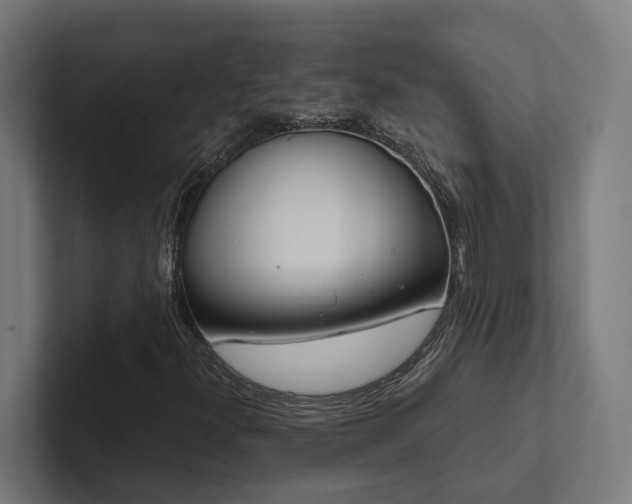 X0000102401300200808011538