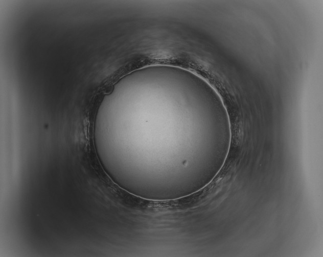 X0000102401301200808011538