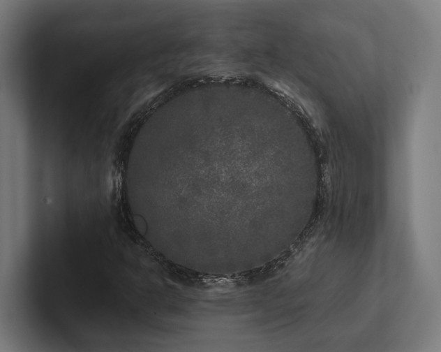 X0000102401302200808011538