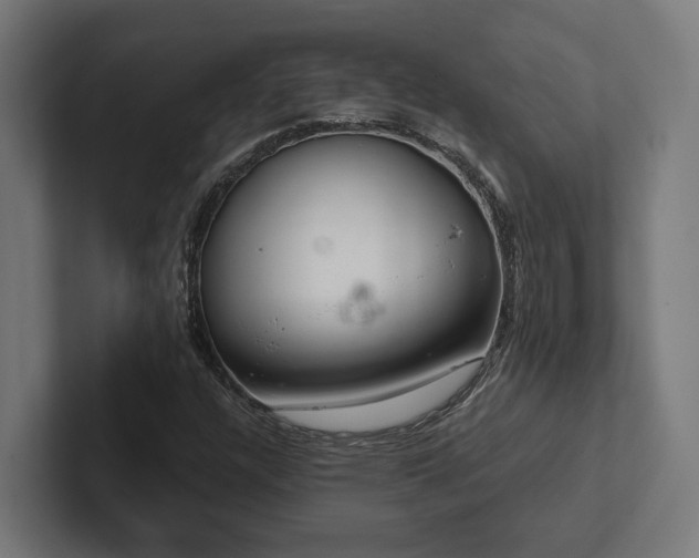 X0000102401304200808011538