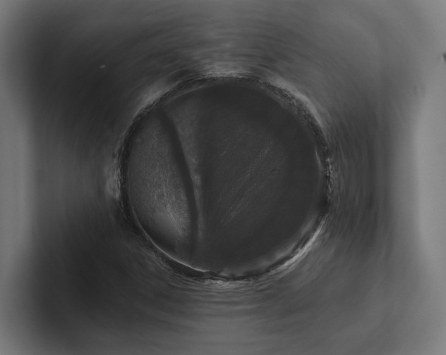 X0000102401306200808011538