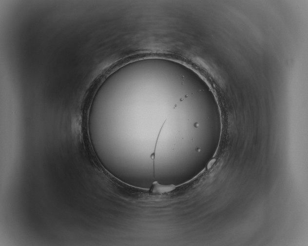 X0000102401307200808011538