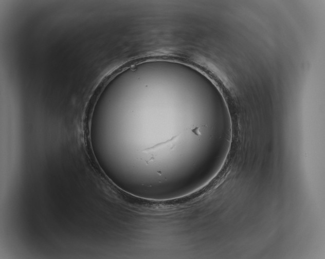 X0000102401308200808011538