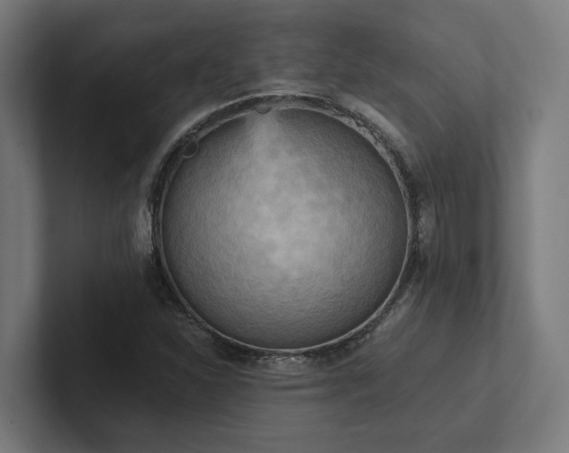 X0000102401310200808011538