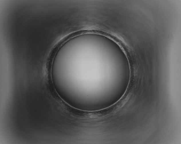 X0000102401311200808011538