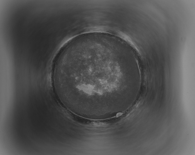 X0000102401312200808011538
