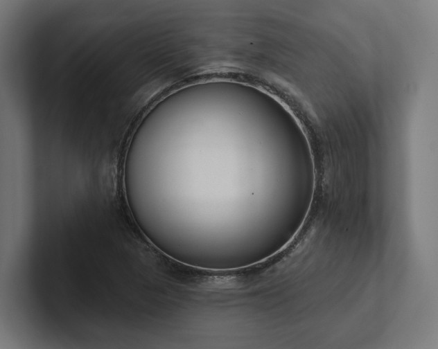 X0000102401313200808011538