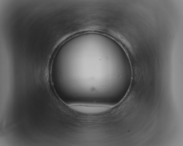 X0000102401316200808011538